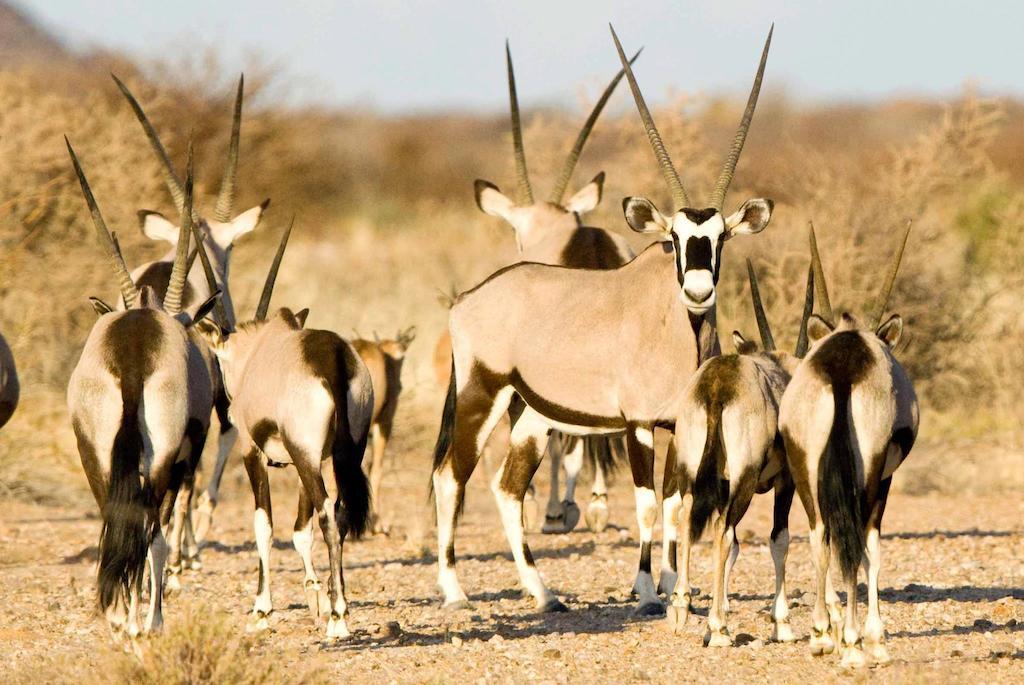 Tutwa Desert Lodge Augrabies Luaran gambar