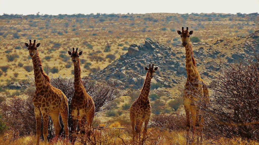 Tutwa Desert Lodge Augrabies Luaran gambar