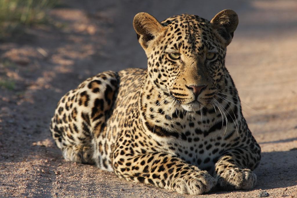 Tutwa Desert Lodge Augrabies Luaran gambar