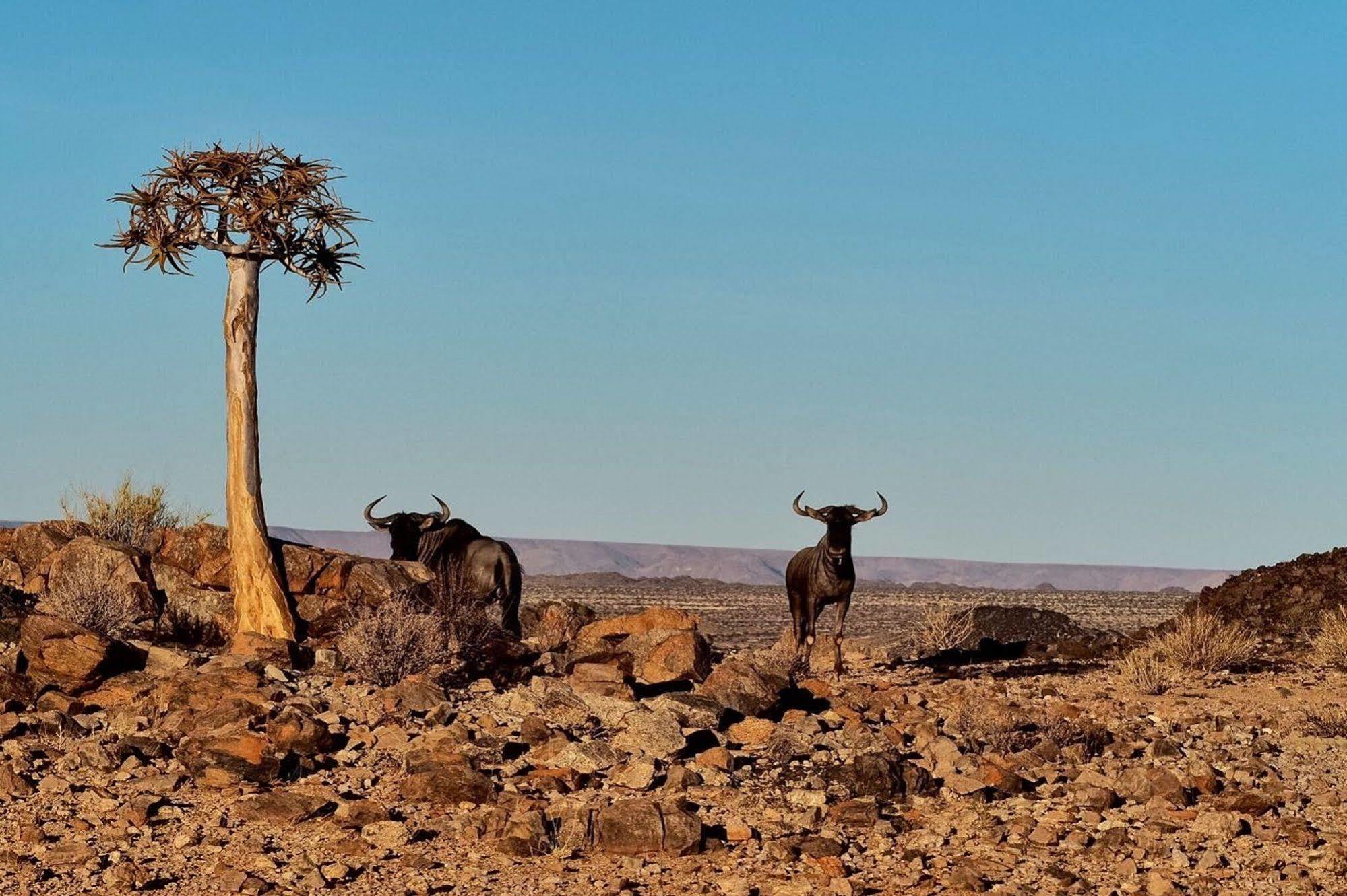 Tutwa Desert Lodge Augrabies Luaran gambar